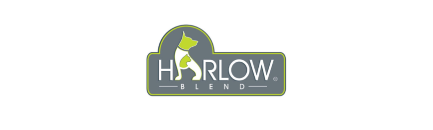 Harlow Blend 楓葉